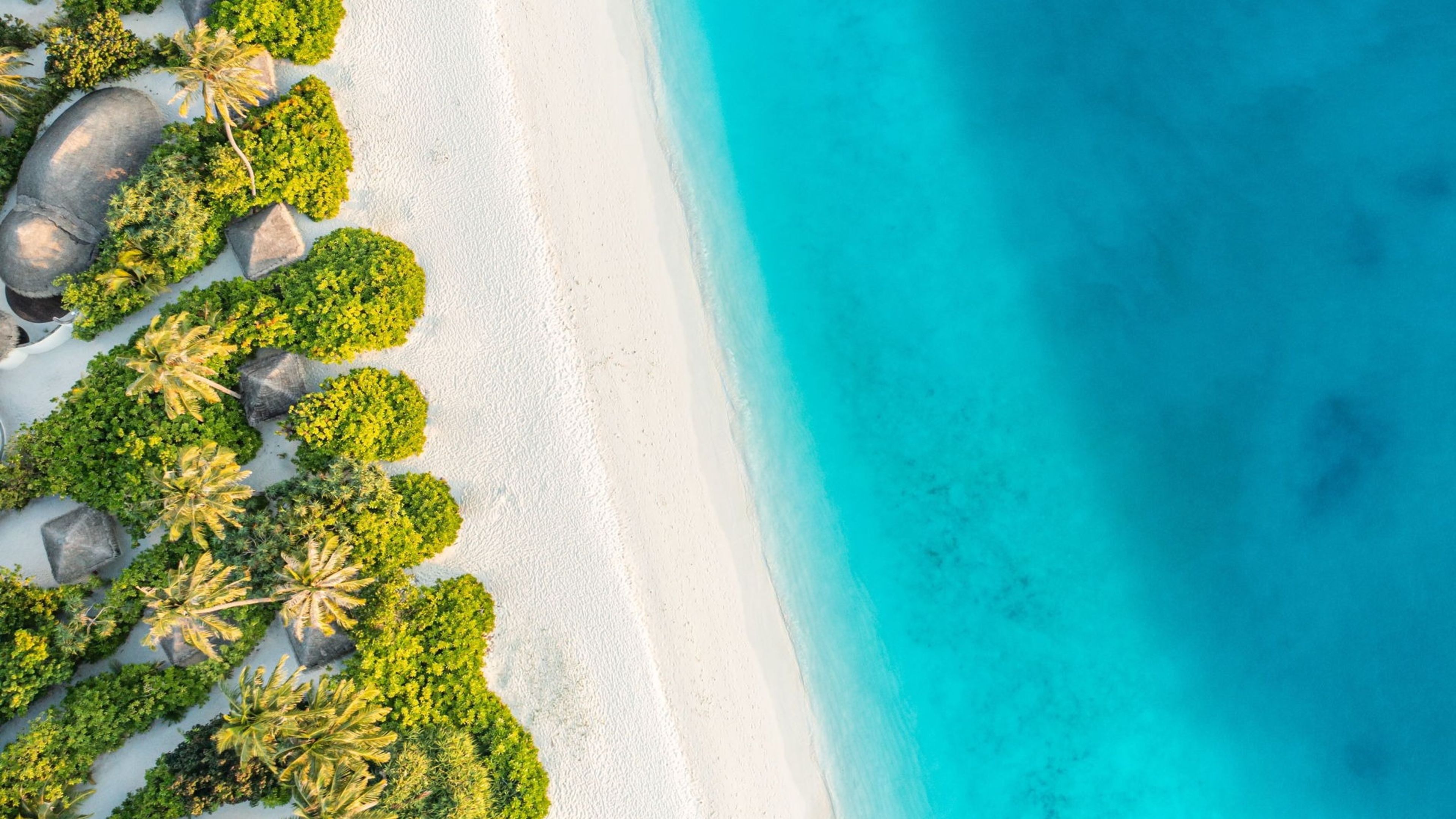 Destinationsmotiv für die Karibik mit einem Sandstrand und türkis-blauem Wasser Destinationsmotiv für die Karibik mit einem Sandstrand und türkis-blauem Wasser