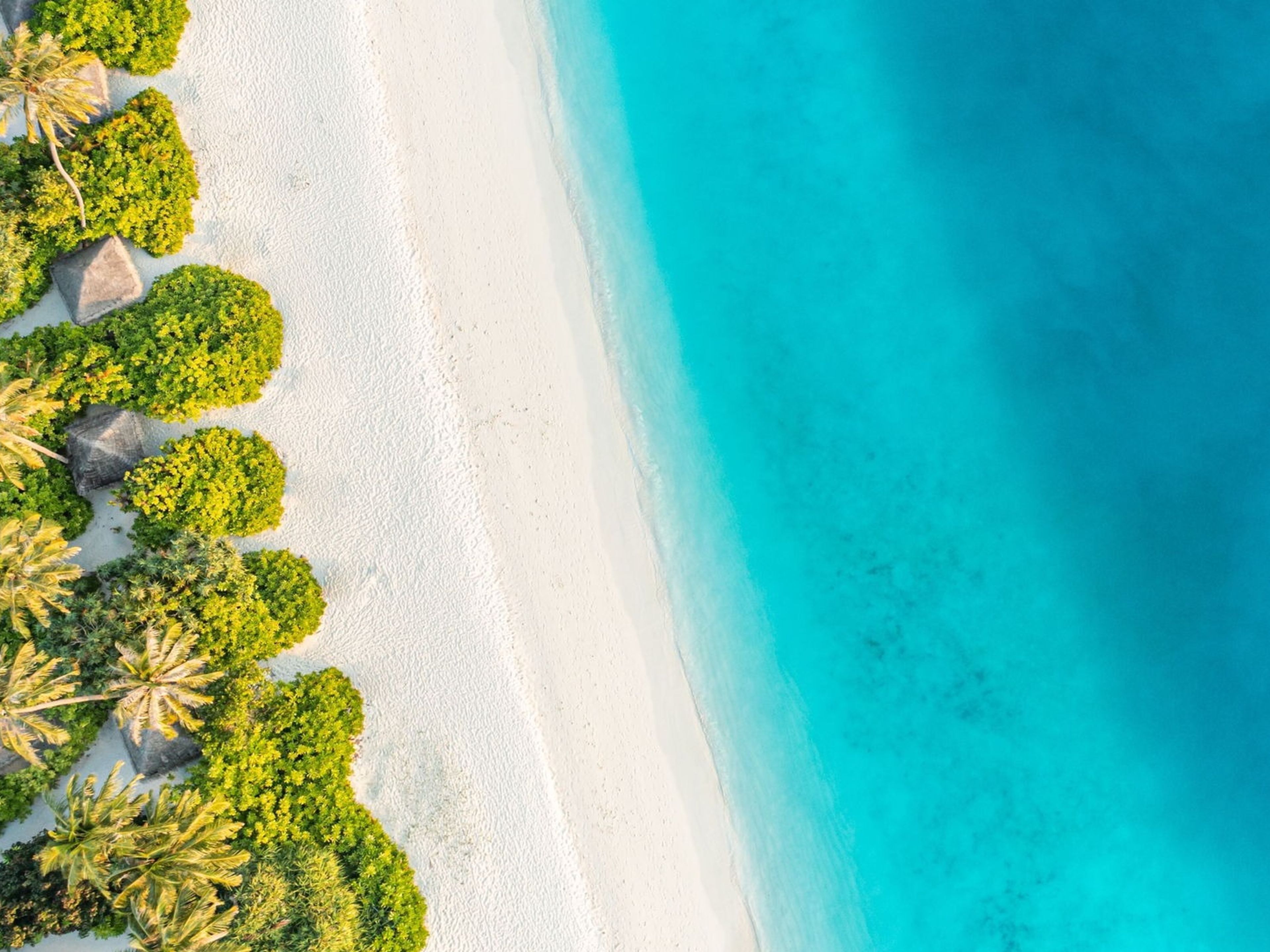 Destinationsmotiv für die Karibik mit einem Sandstrand und türkis-blauem Wasser Destinationsmotiv für die Karibik mit einem Sandstrand und türkis-blauem Wasser