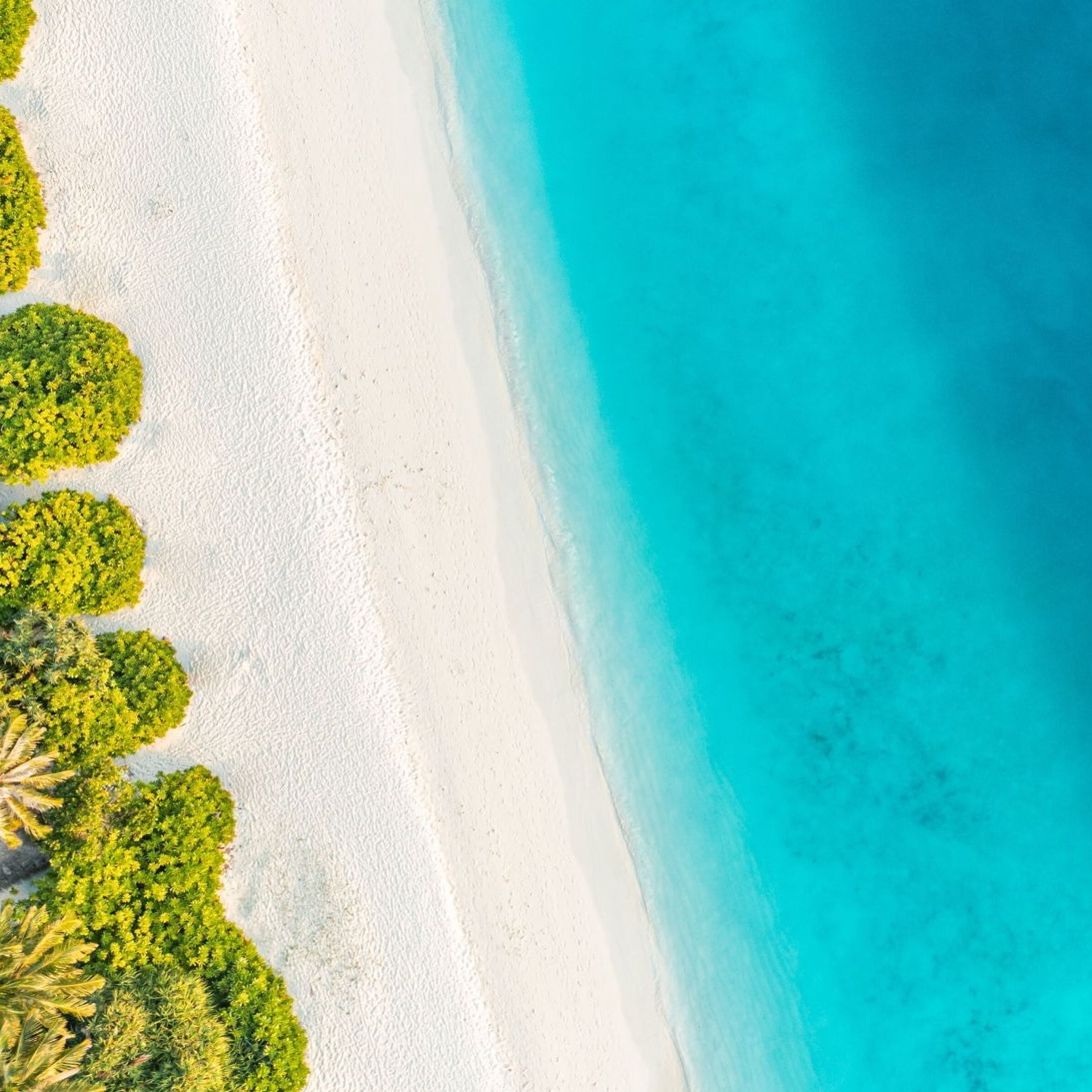 Destinationsmotiv für die Karibik mit einem Sandstrand und türkis-blauem Wasser Destinationsmotiv für die Karibik mit einem Sandstrand und türkis-blauem Wasser