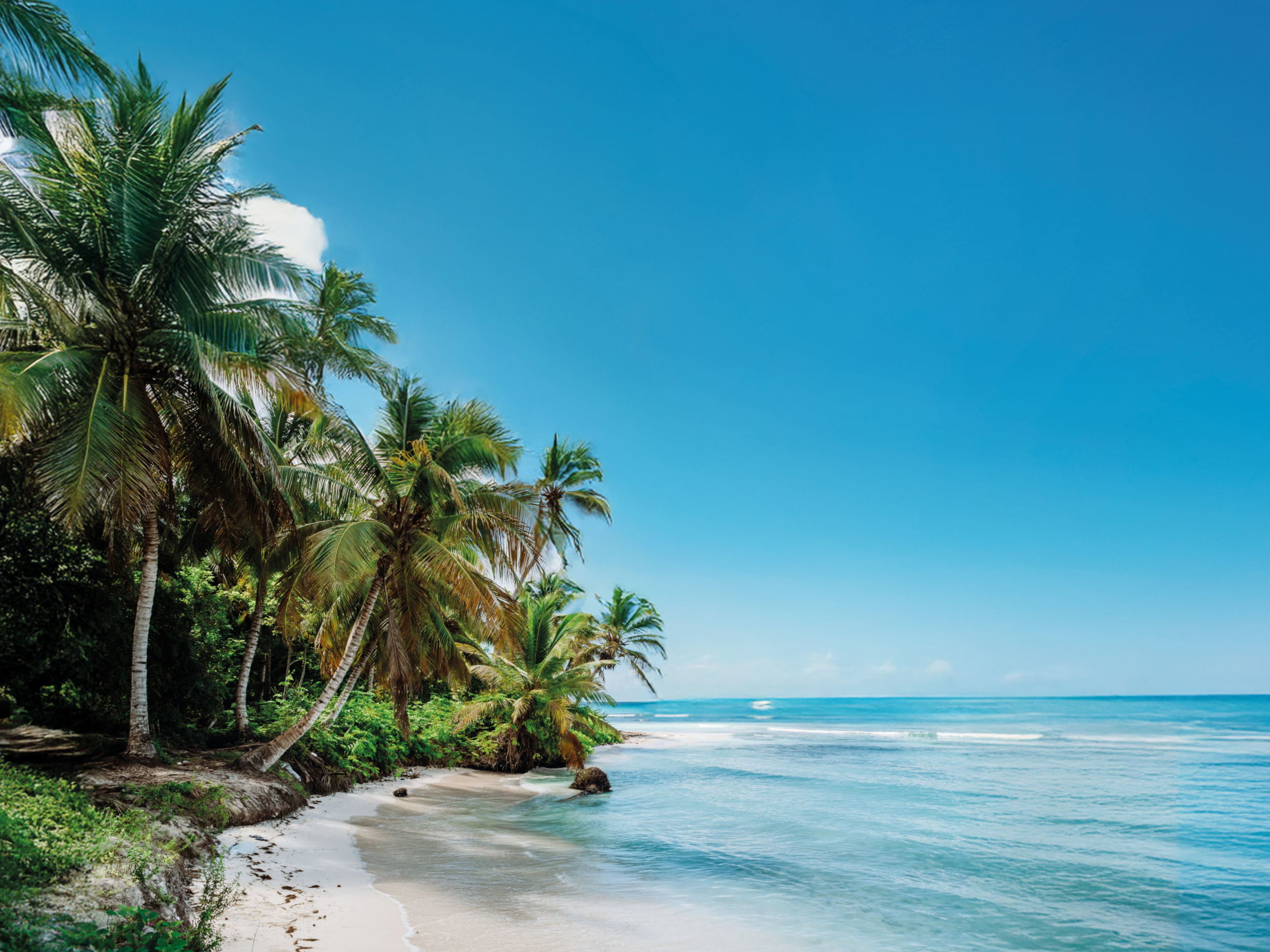 Tropischer Strand mit Palmen und blauem Himmel Tropischer Strand mit Palmen und blauem Himmel