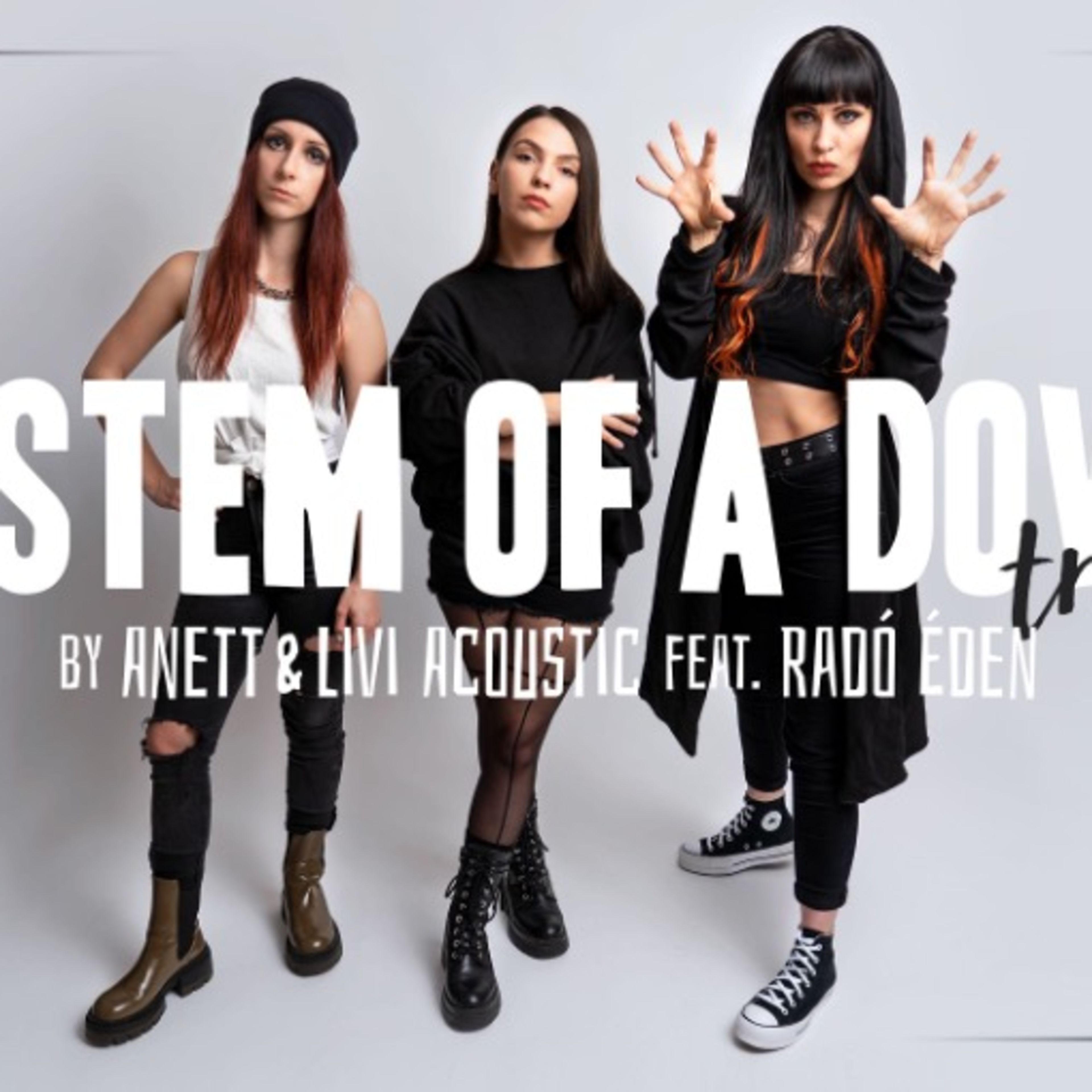 System of a Down - tribute System of a Down - tribute