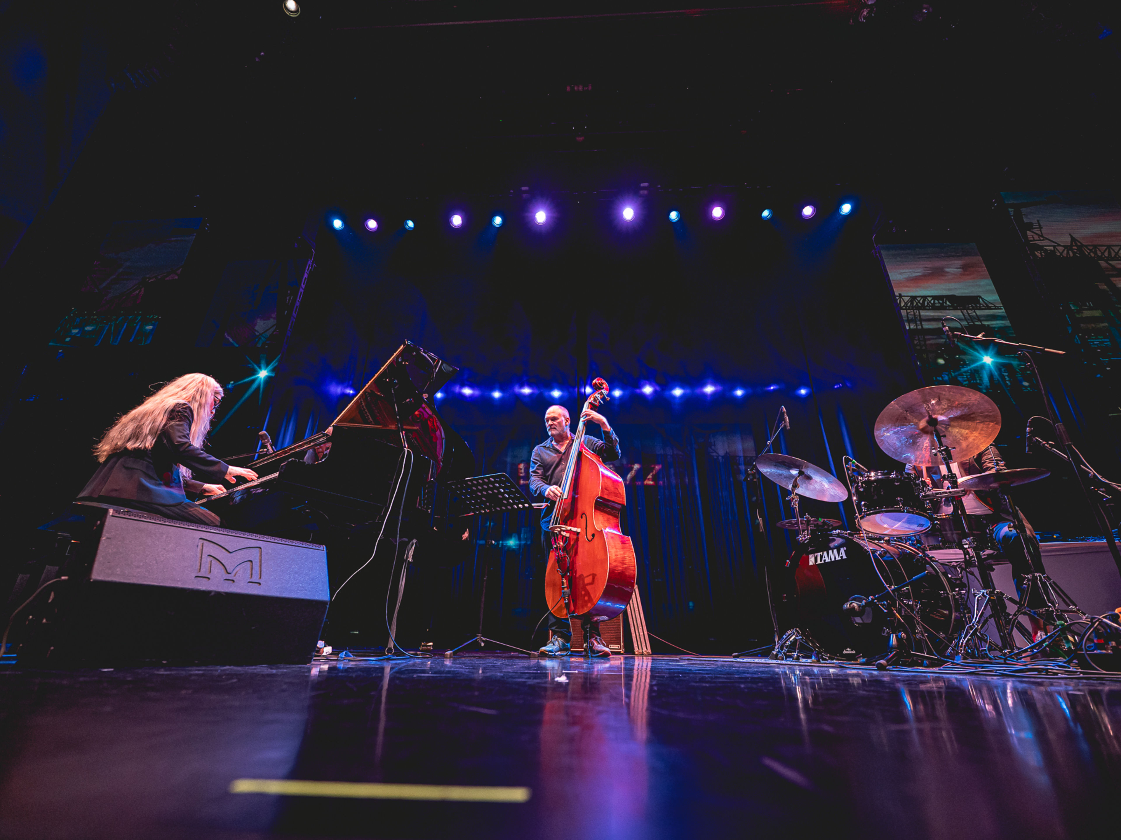 Elbjazz 2025 MelindaHelenaClabes Elbjazz 2025 MelindaHelenaClabes