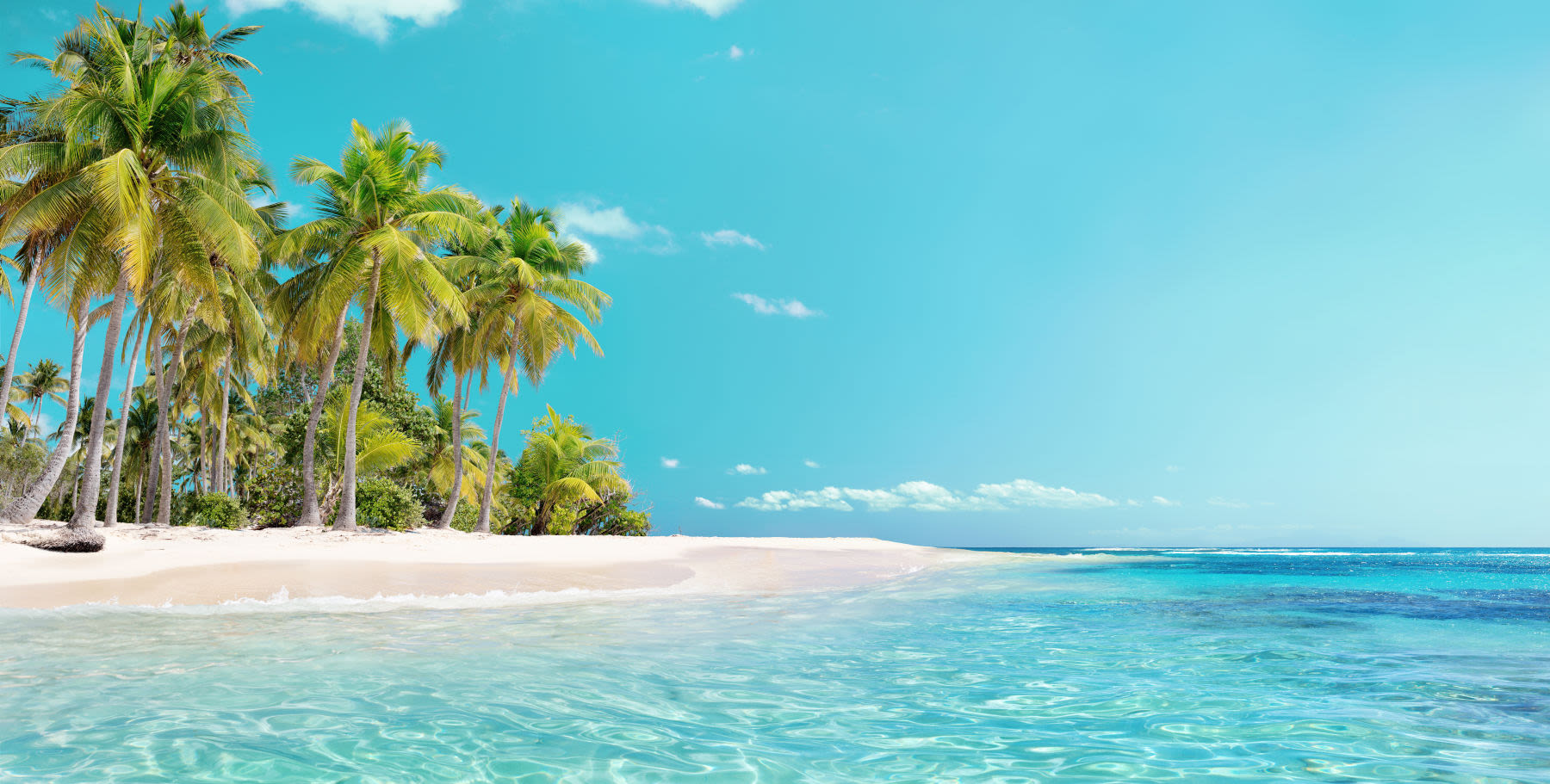 Tropischer Strand mit Palmen, türkisfarbenes Meer, blauer Himmel.