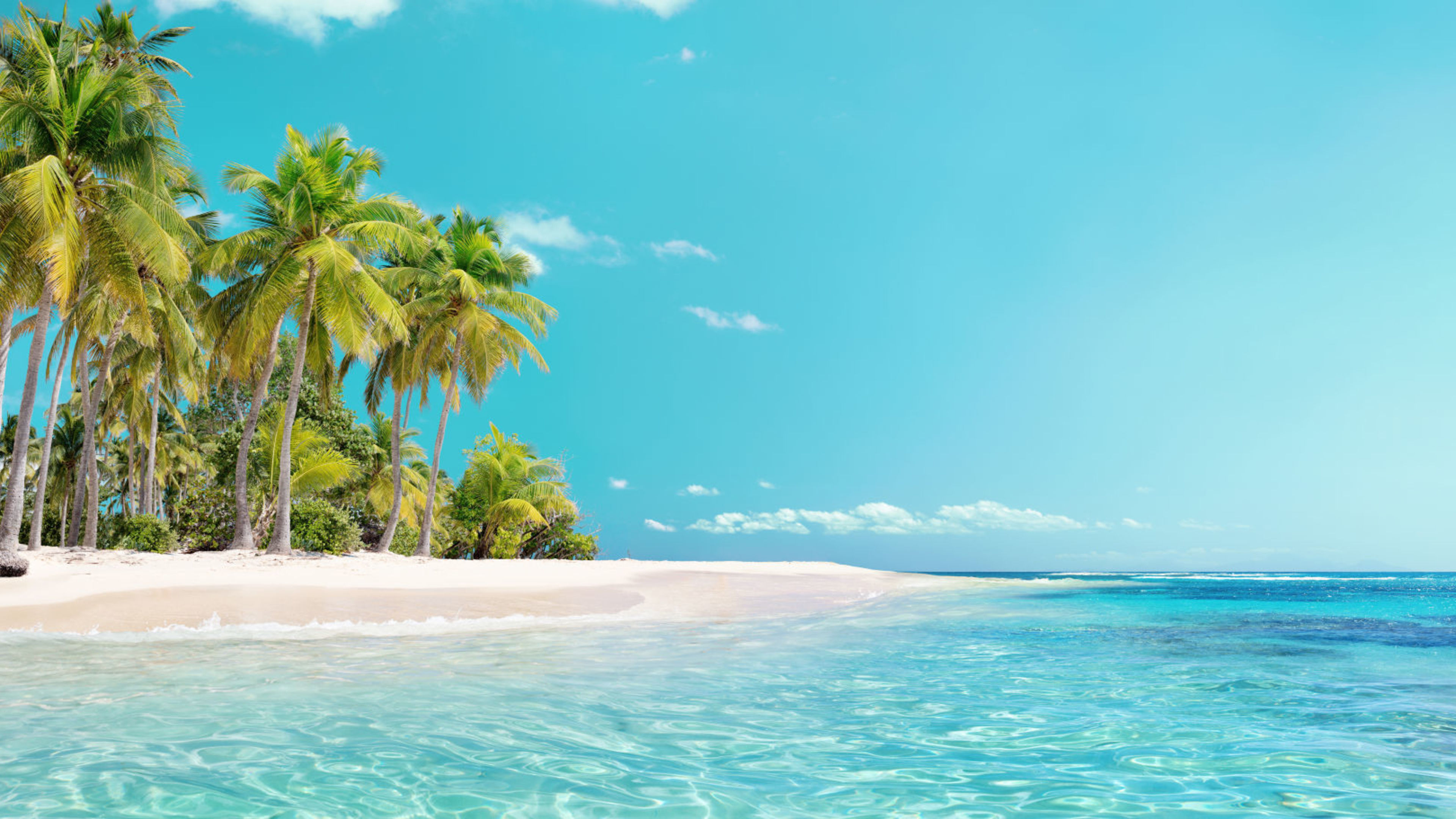 Tropischer Strand mit Palmen, türkisfarbenes Meer, blauer Himmel. Tropischer Strand mit Palmen, türkisfarbenes Meer, blauer Himmel.