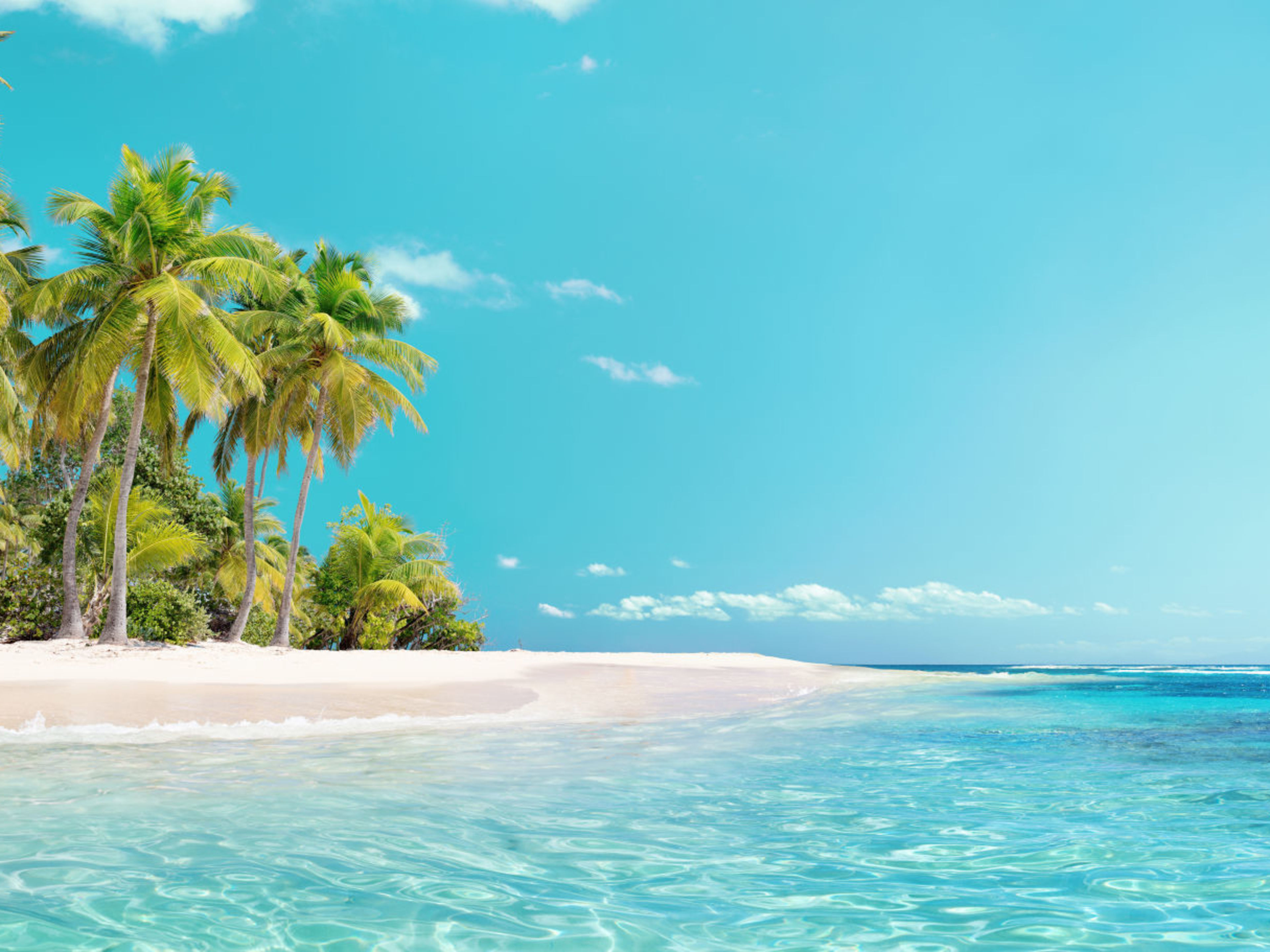 Tropischer Strand mit Palmen, türkisfarbenes Meer, blauer Himmel. Tropischer Strand mit Palmen, türkisfarbenes Meer, blauer Himmel.