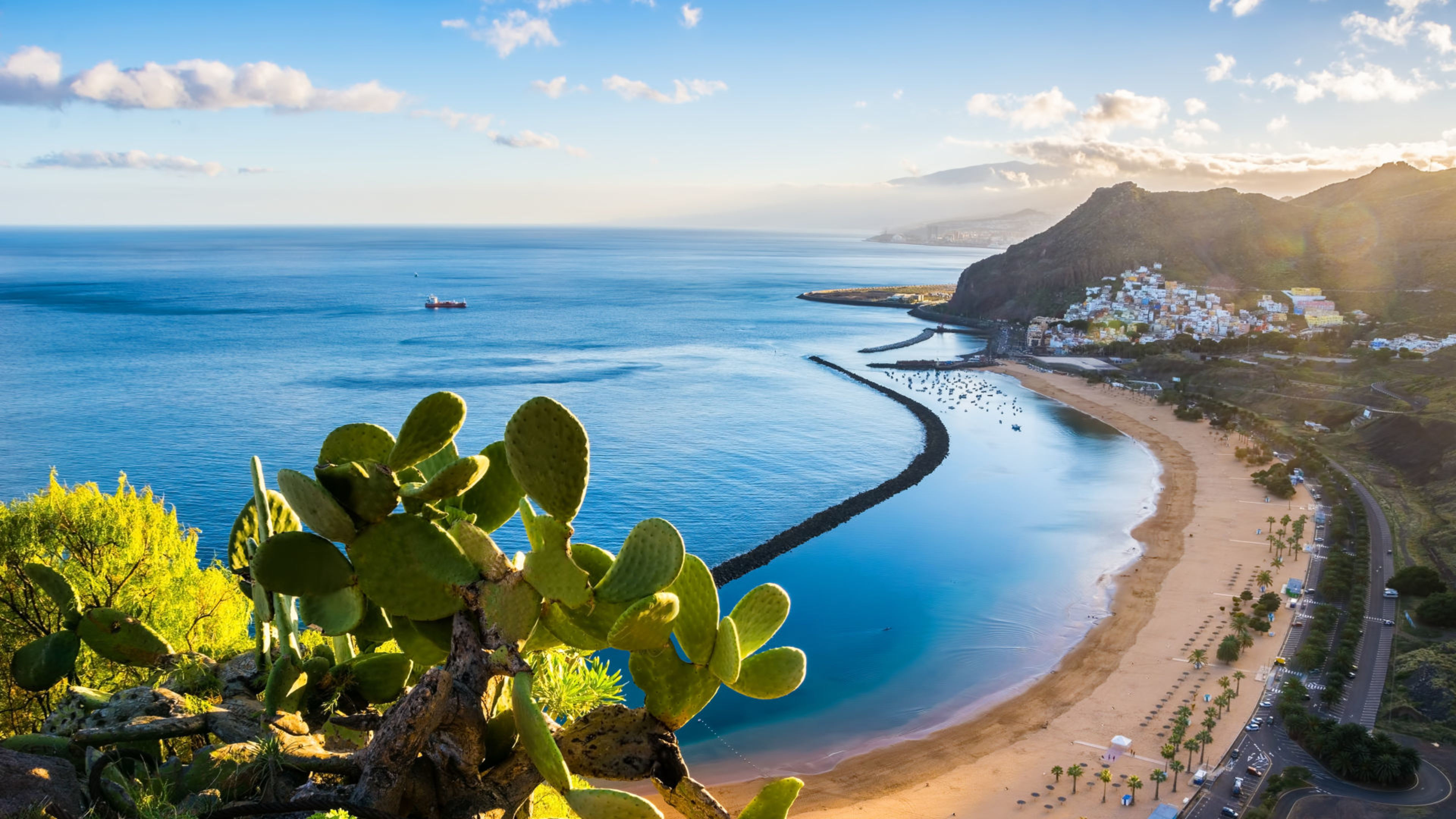 Kaktus am Strand von Las Teresitas, Teneriffa, mit blauem Meer. Kaktus am Strand von Las Teresitas, Teneriffa, mit blauem Meer.
