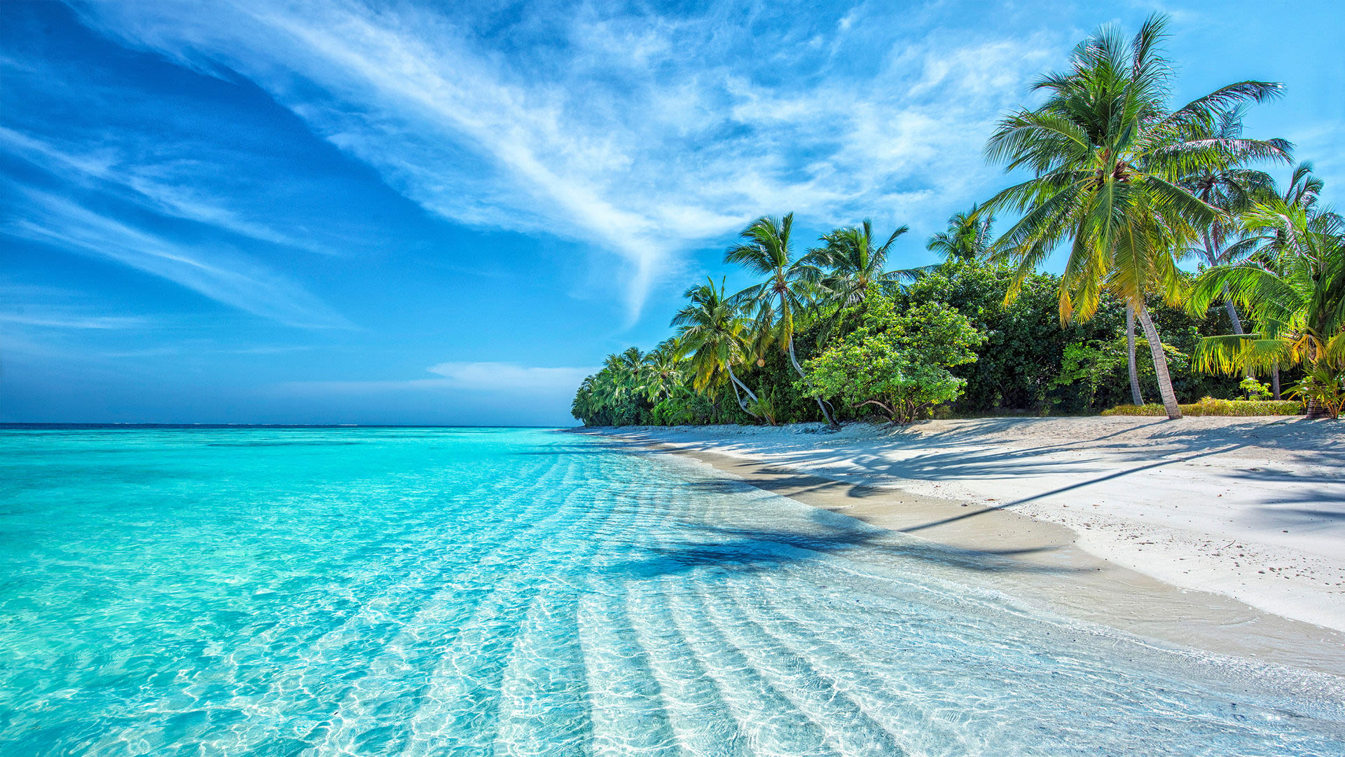 Tropischer Strand mit Palmen und türkisfarbenem Meer.