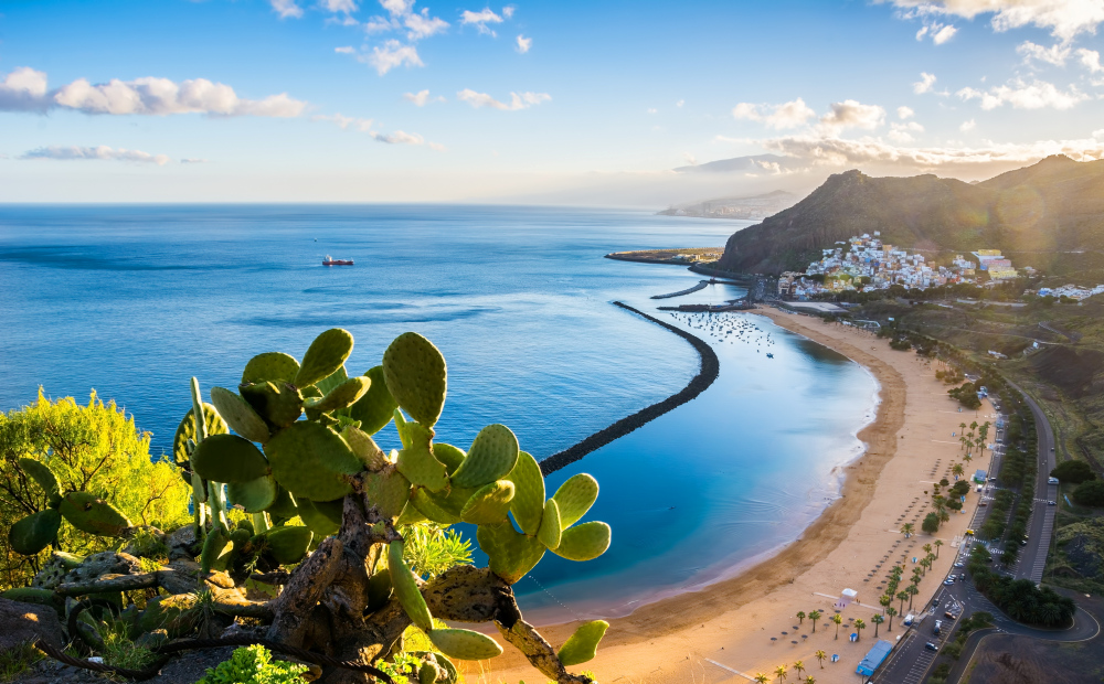 Strand von Las Teresitas, Teneriffa, mit Kaktus im Vordergrund.