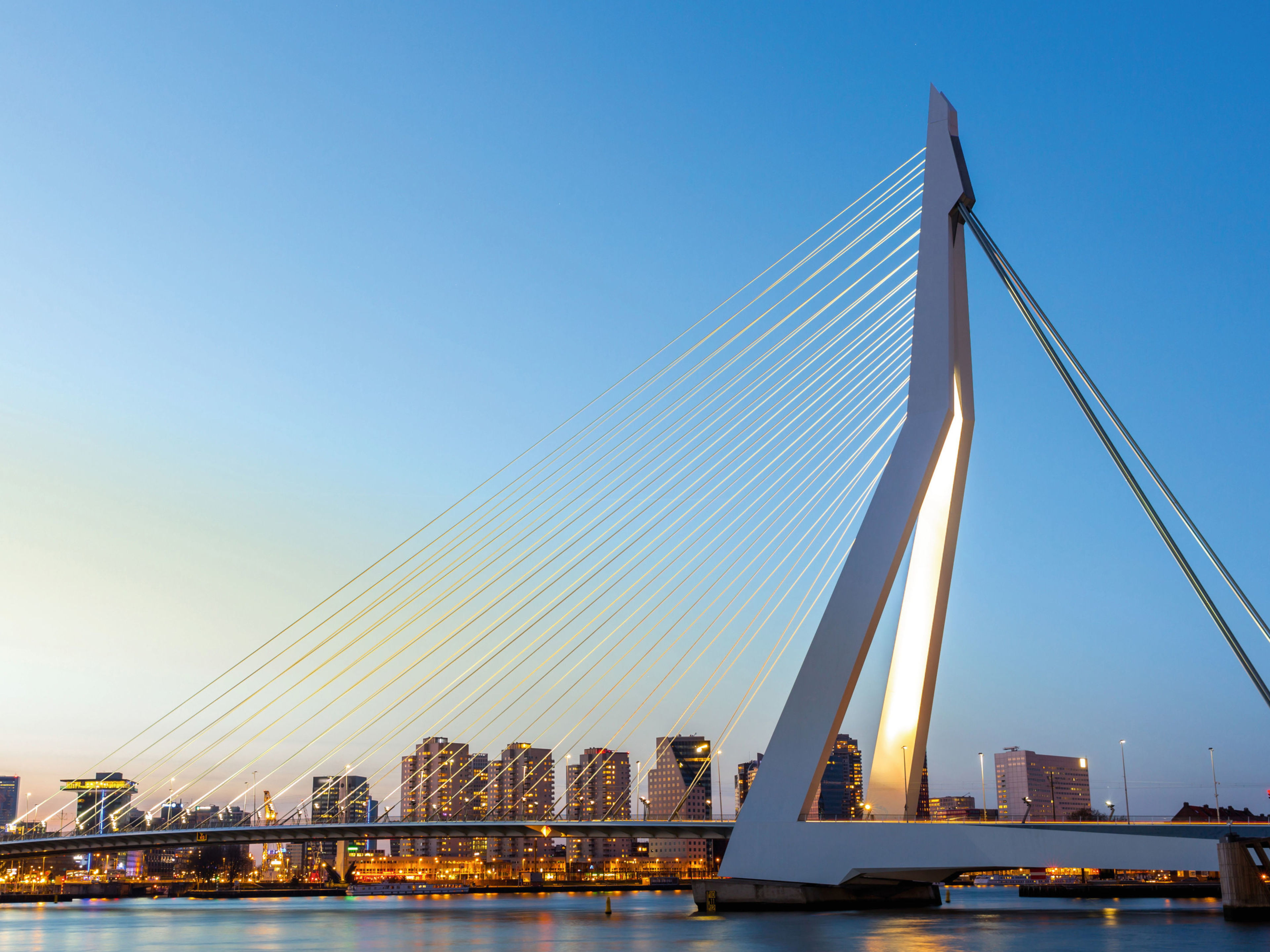 Erasmusbrücke bei Sonnenuntergang, Rotterdam Skyline im Hintergrund. Erasmusbrücke bei Sonnenuntergang, Rotterdam Skyline im Hintergrund.