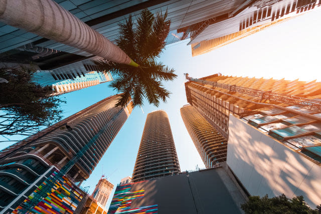 Hochhäuser und Palme bei Sonnenuntergang in Miami.