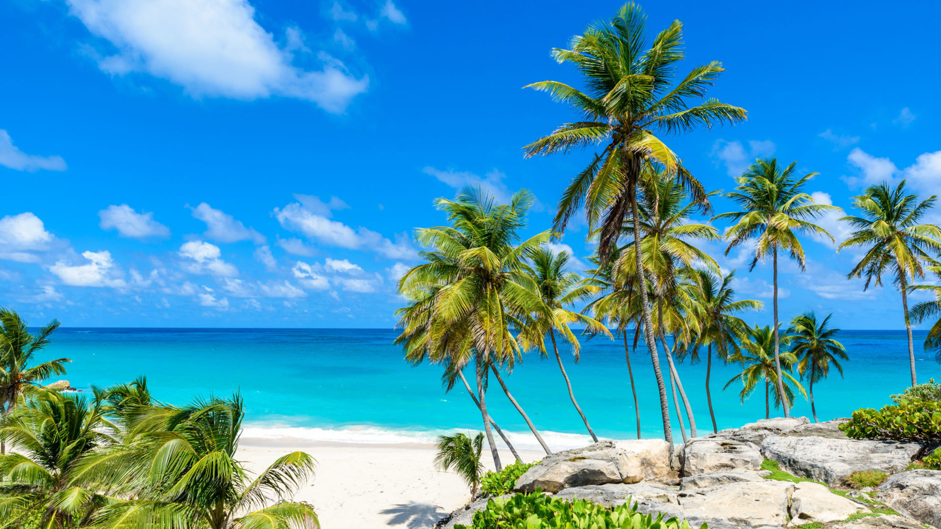 Palmen am weißen Sandstrand mit türkisblauem Meer und blauem Himmel. Palmen am weißen Sandstrand mit türkisblauem Meer und blauem Himmel.