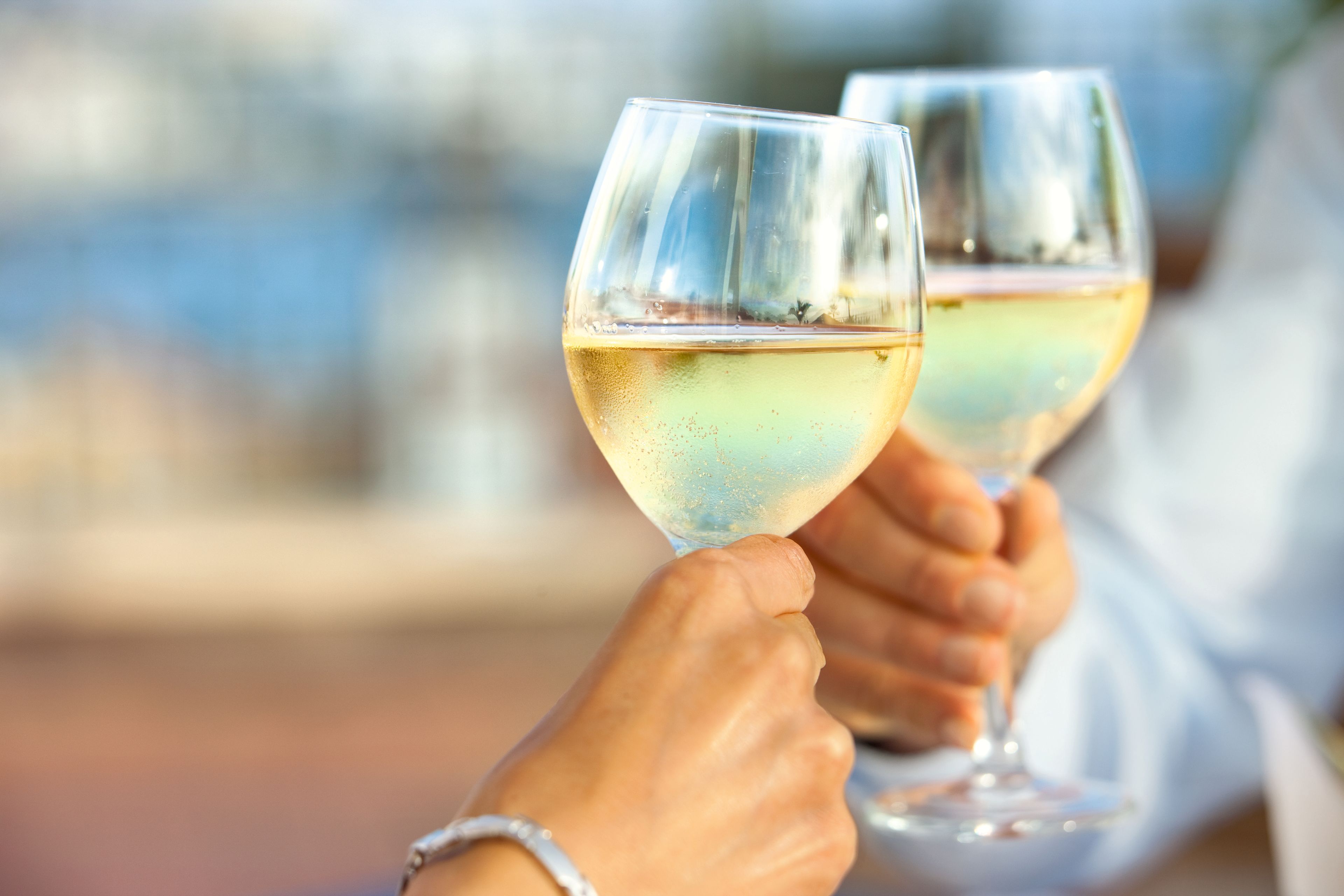 Two people toast with glasses of white wine. Two people toast with glasses of white wine.