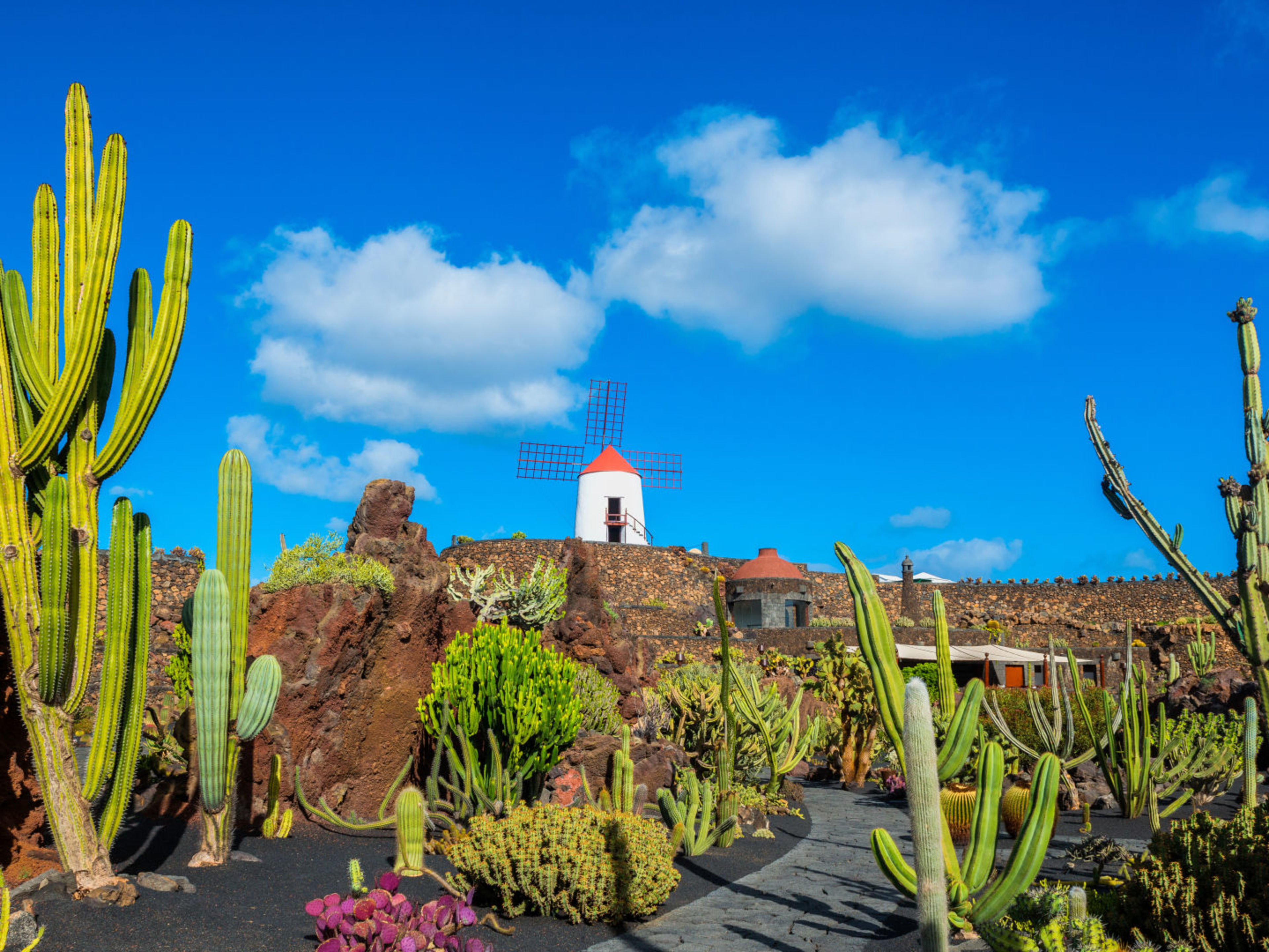 Kakteen und Windmühle im Jardín de Cactus, Lanzarote. Kakteen und Windmühle im Jardín de Cactus, Lanzarote.