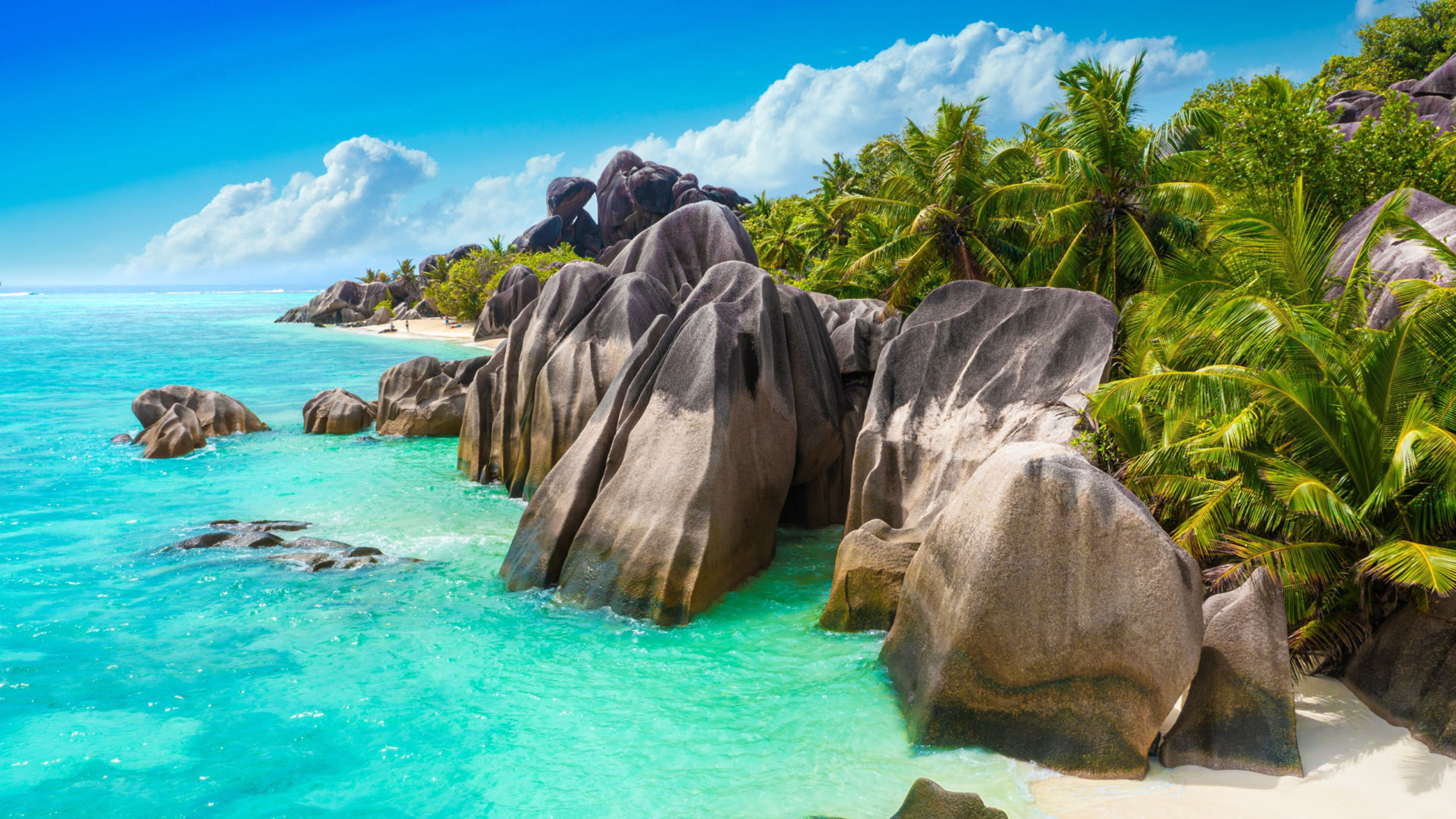 Granitfelsen und Palmen am Strand von La Digue, Seychellen. Granitfelsen und Palmen am Strand von La Digue, Seychellen.