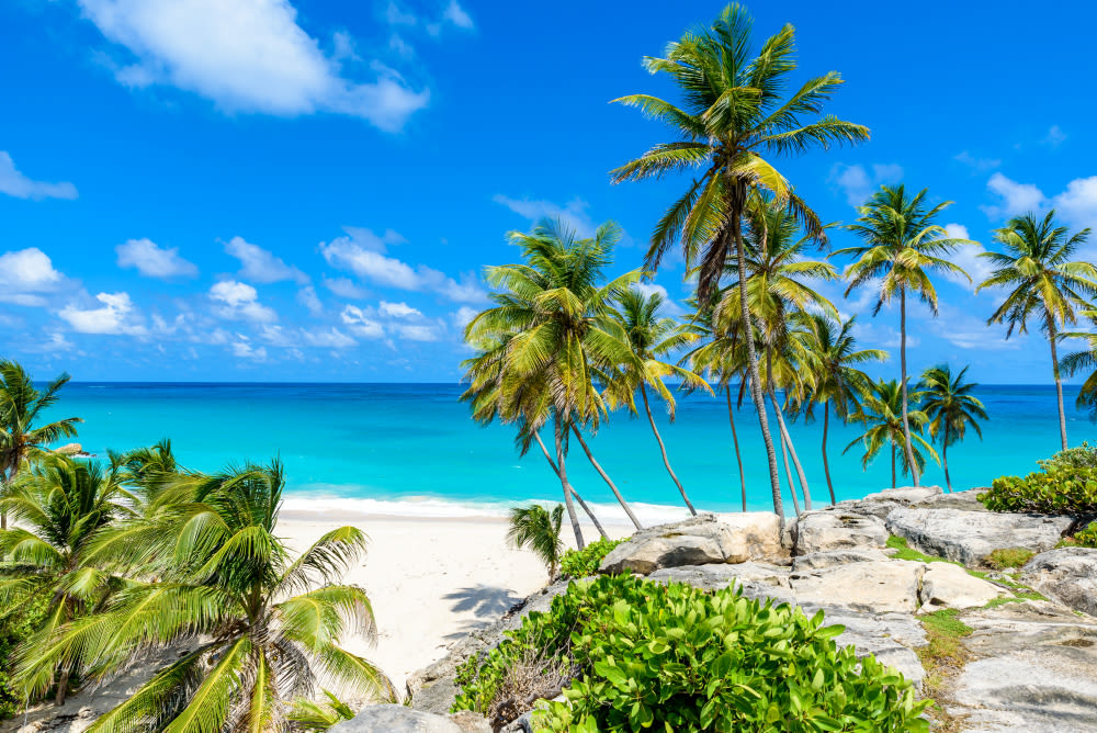 Strand mit Palmen, türkisblaues Meer, blauer Himmel Strand mit Palmen, türkisblaues Meer, blauer Himmel