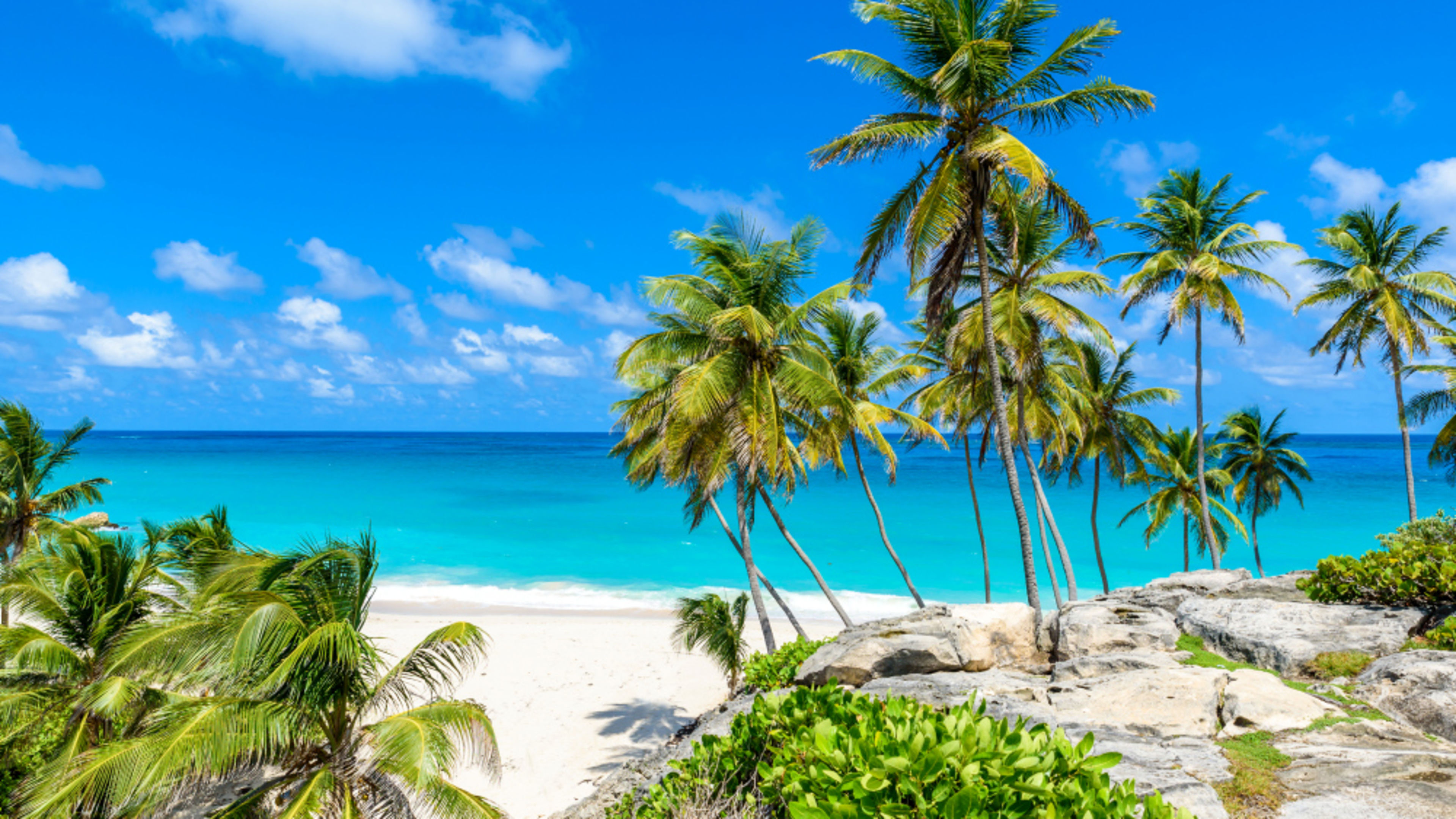 Strand mit Palmen, türkisblaues Meer, blauer Himmel Strand mit Palmen, türkisblaues Meer, blauer Himmel