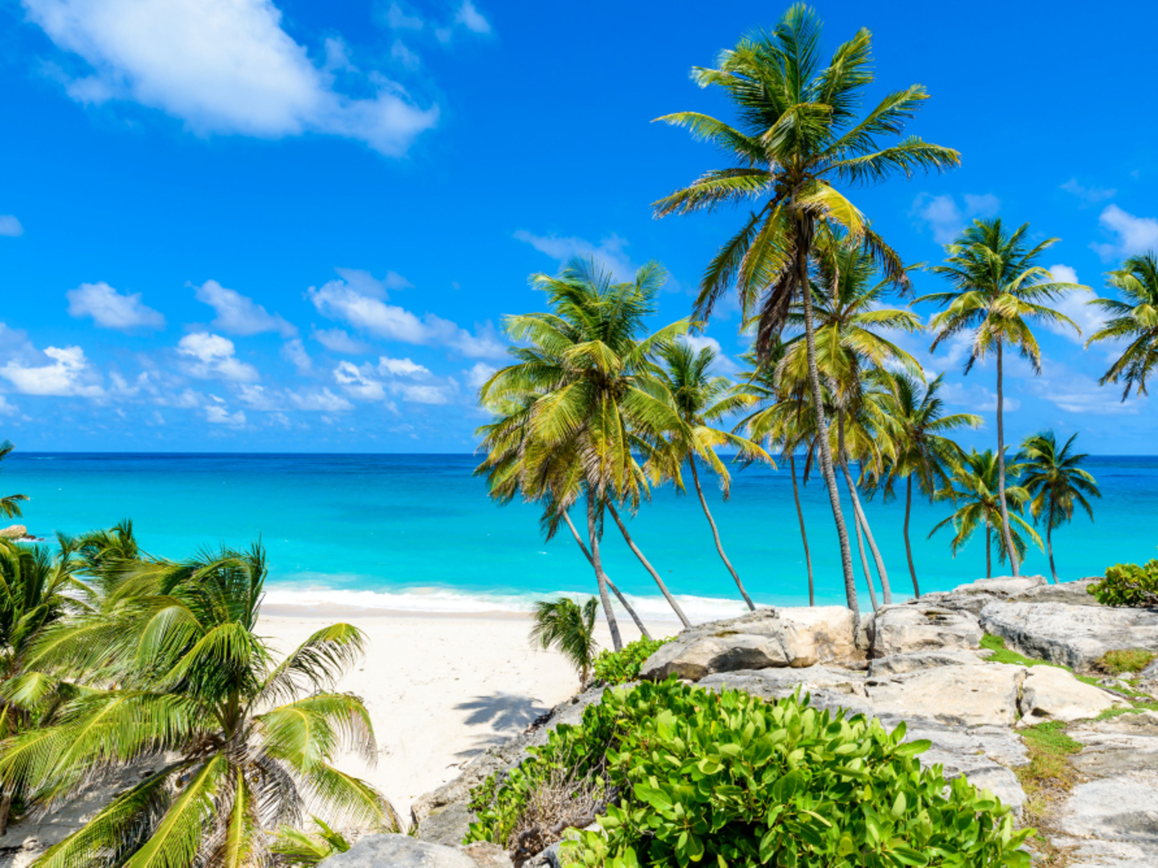 Strand mit Palmen, türkisblaues Meer, blauer Himmel Strand mit Palmen, türkisblaues Meer, blauer Himmel