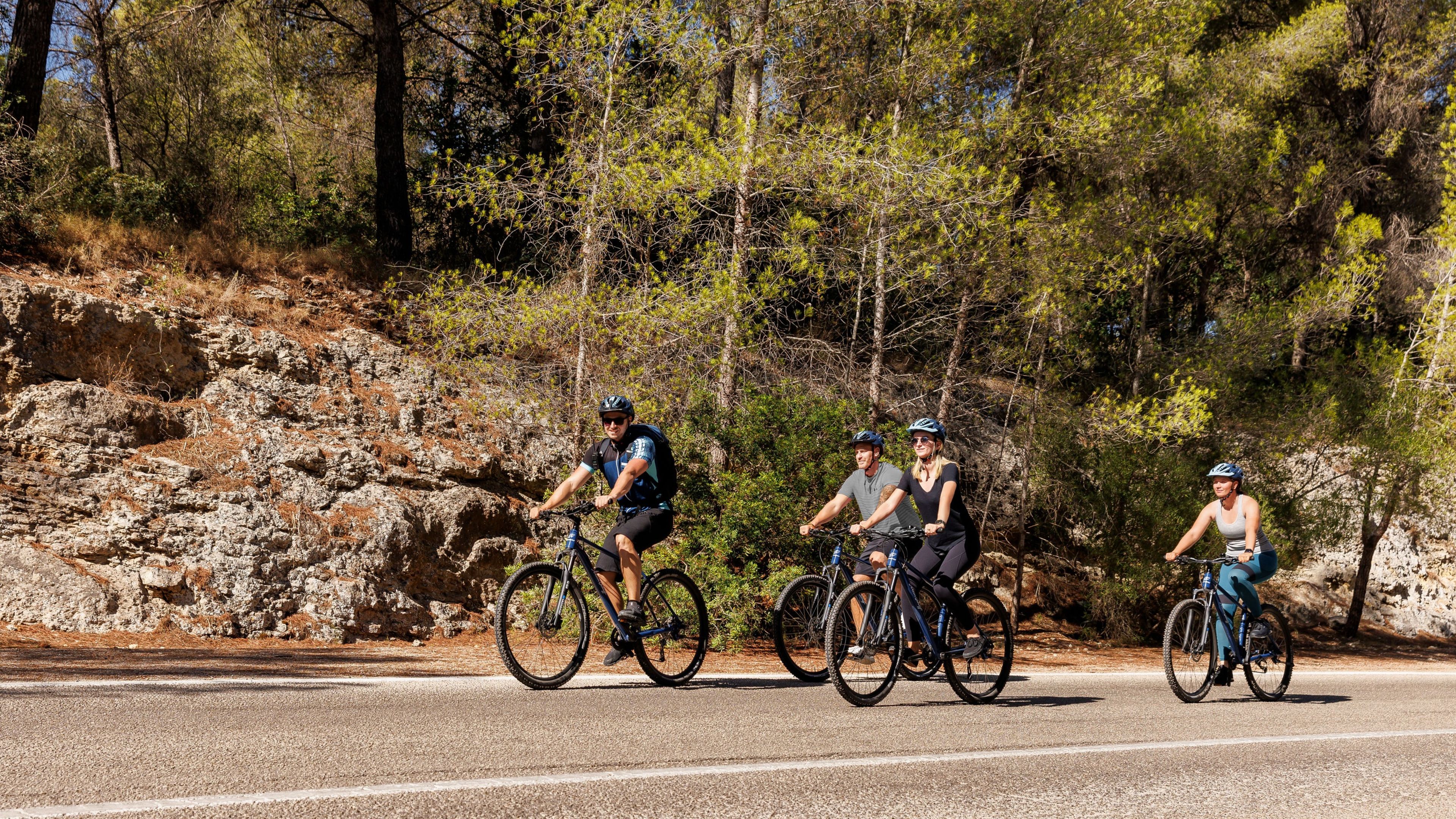 Vier Radfahrer auf einer Straße im Wald, sonniger Tag. Vier Radfahrer auf einer Straße im Wald, sonniger Tag.