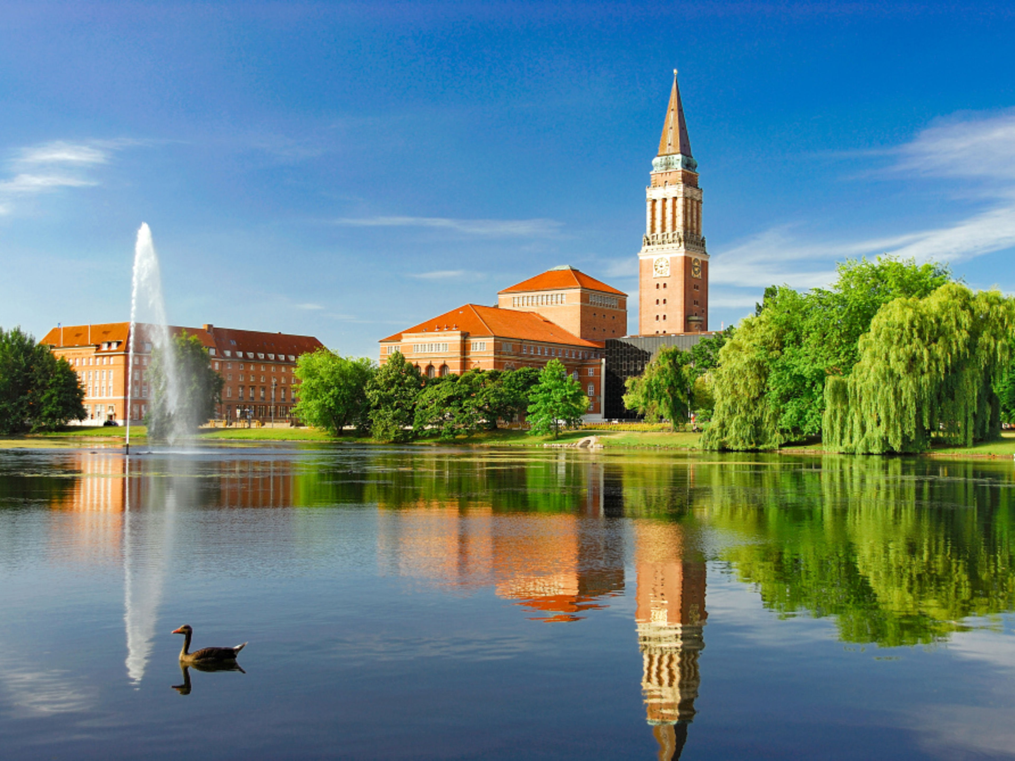 Rathaus Kiel, See mit Springbrunnen, Ente, blauer Himmel. Rathaus Kiel, See mit Springbrunnen, Ente, blauer Himmel.