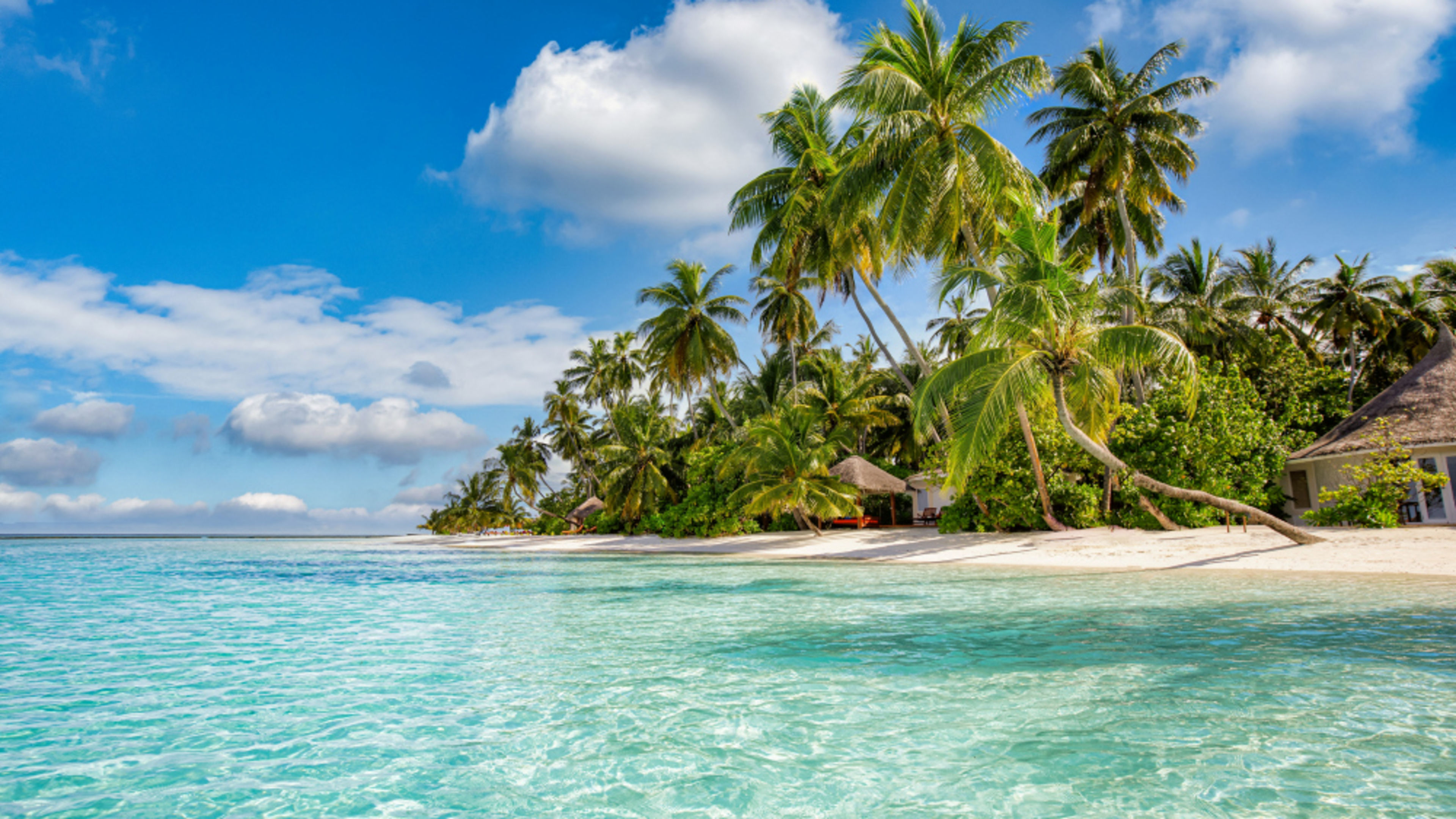 Tropischer Strand mit Palmen und klarem Wasser. Tropischer Strand mit Palmen und klarem Wasser.