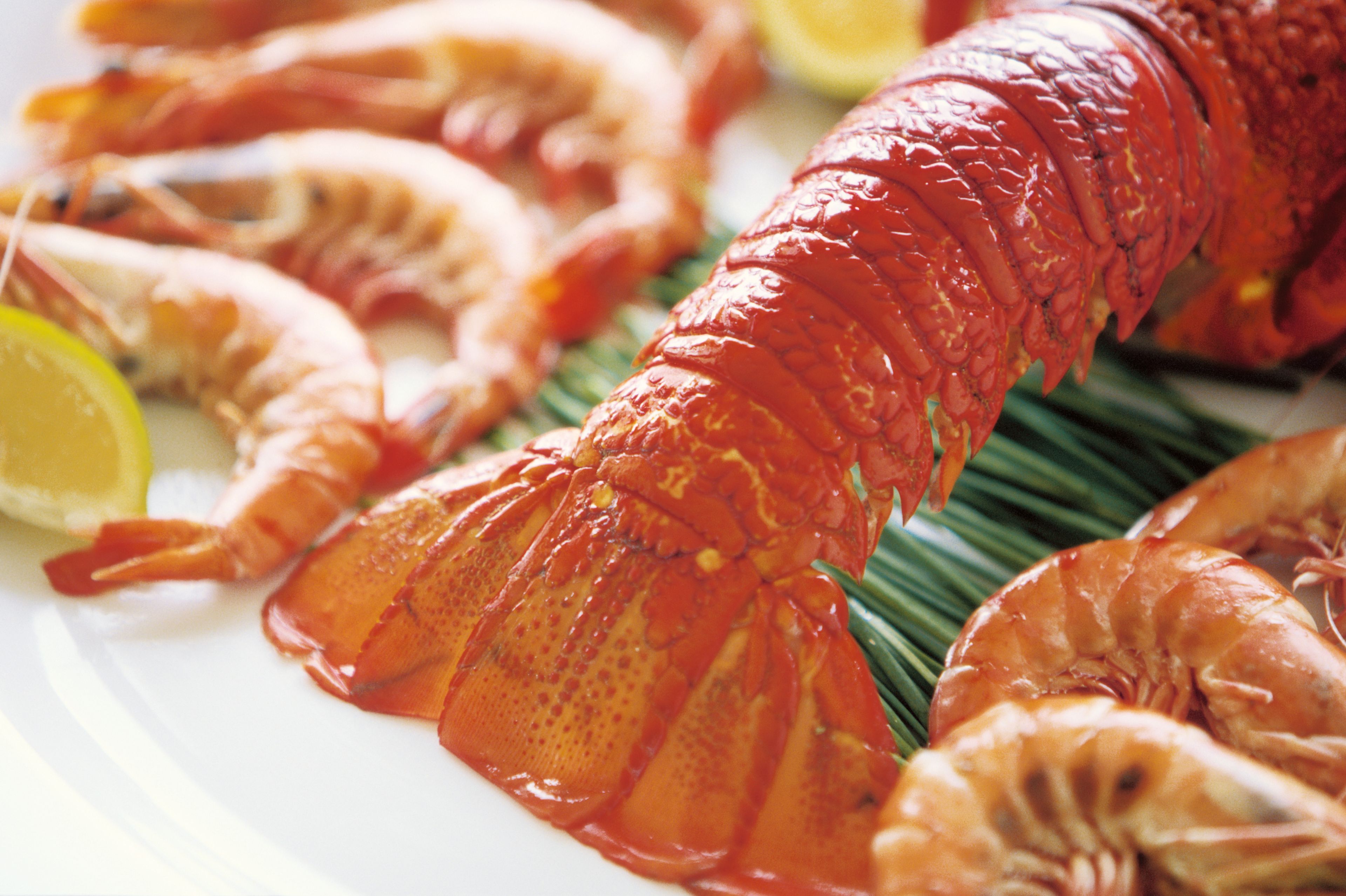 GOSCH Sylt - Fish Restaurant