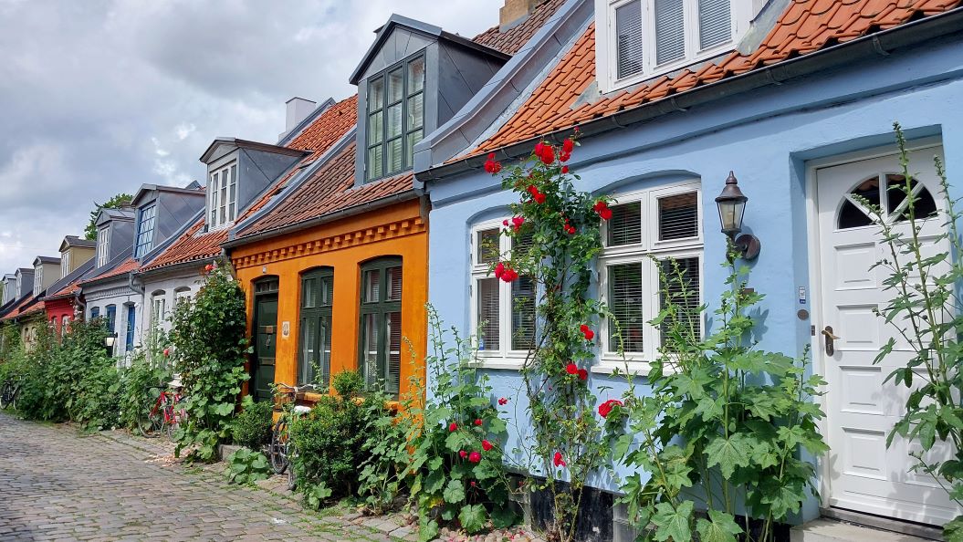Cruises from & to Aarhus - port information & offers