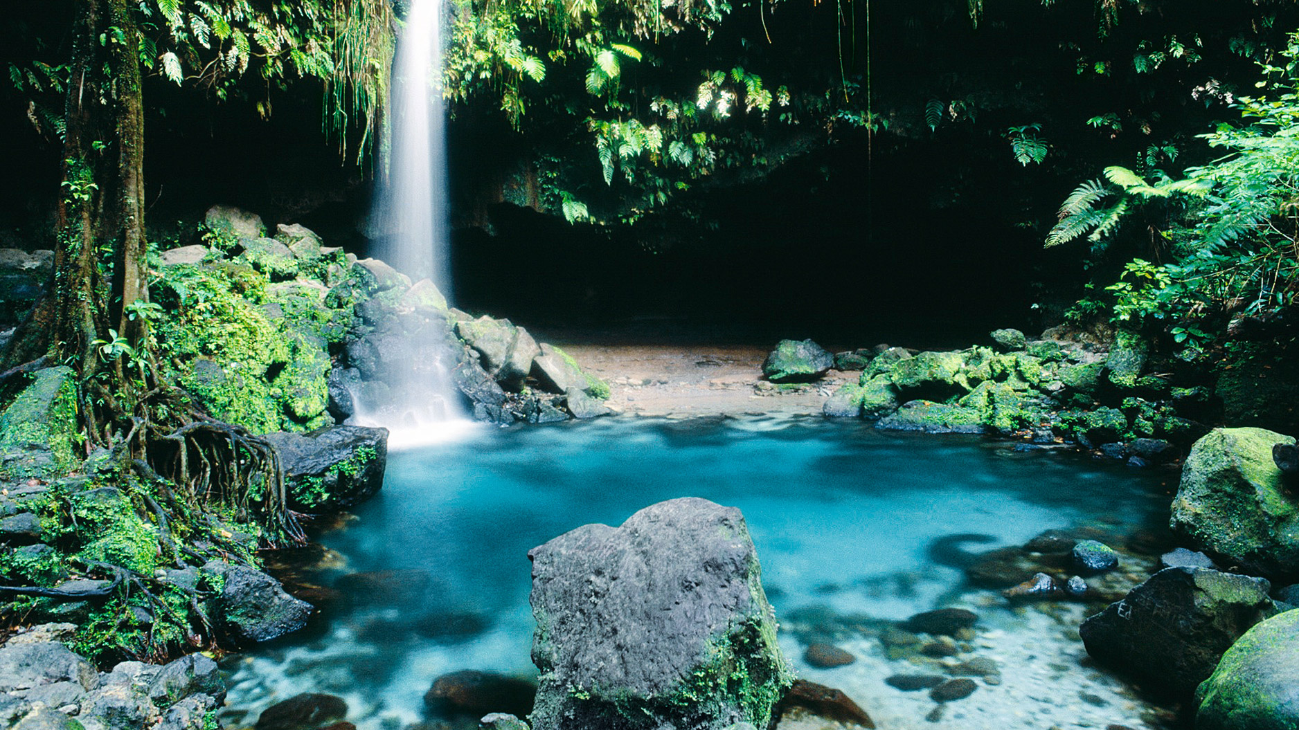 Roseau (Dominica)