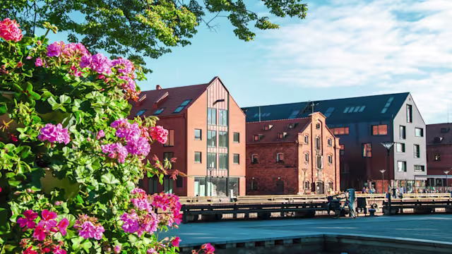 rostock-warnemünde|seetag|visby (gotland)|klaipeda|gdynia (danzig)|seetag|kiel