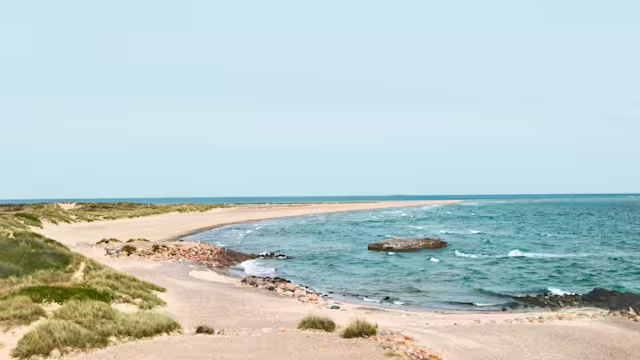 kiel|kopenhagen|skagen|aarhus|seetag|klaipeda|riga|seetag|tallinn|helsinki|stockholm|visby (gotland)|gdynia (danzig)|seetag|kiel