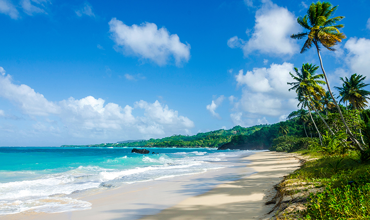 Samana