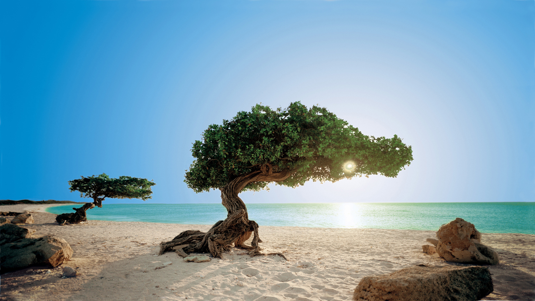 Oranjestad (Aruba)