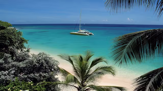 bridgetown (barbados)|bridgetown (barbados)|roseau (dominica)|philipsburg (st. maarten)|seetag|seetag|seetag|seetag|seetag|seetag|seetag|santa cruz (teneriffa)|san sebastián (la gomera)|las palmas (gran canaria)
