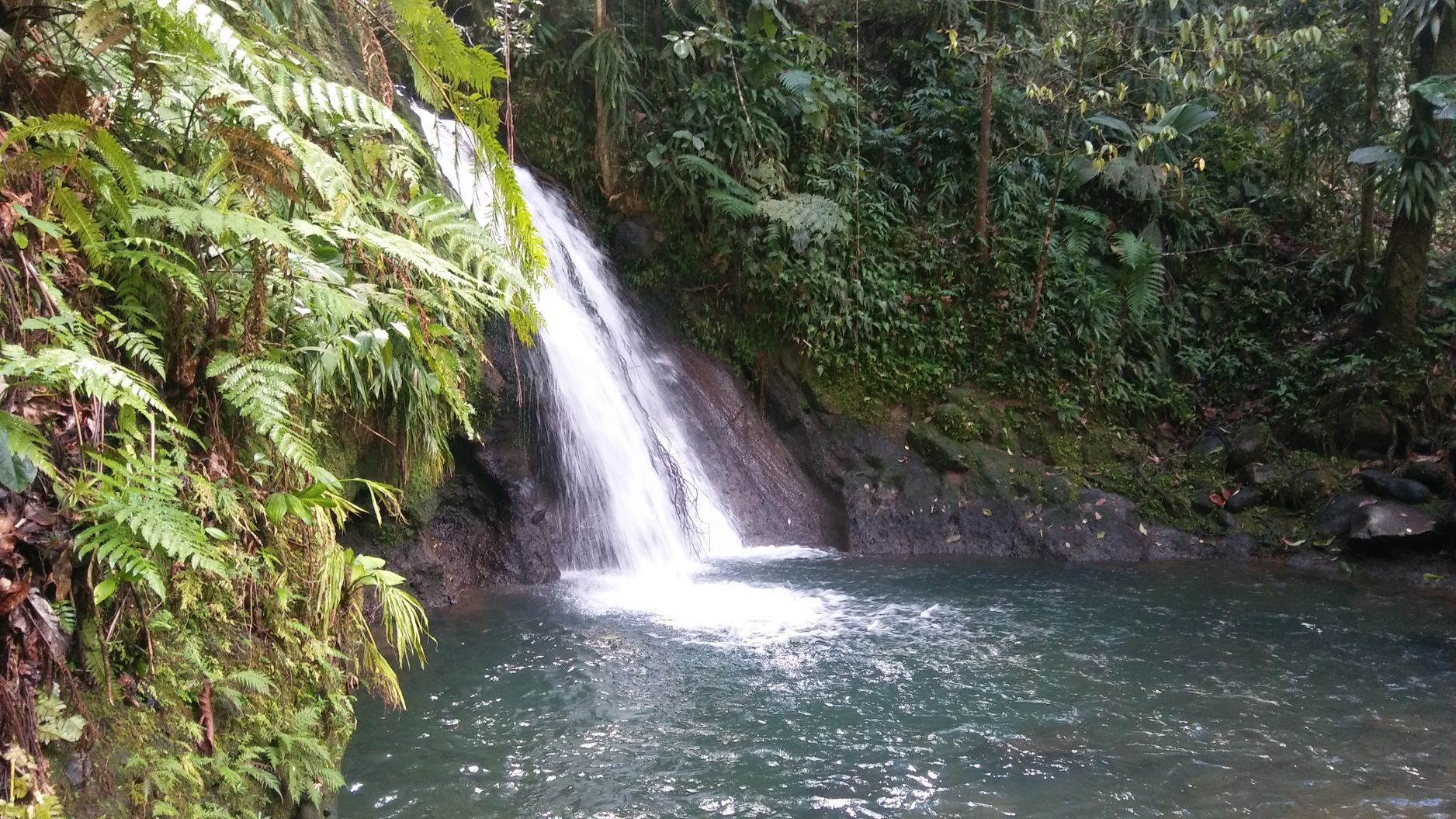 Pointe-à-Pitre (Guadeloupe)