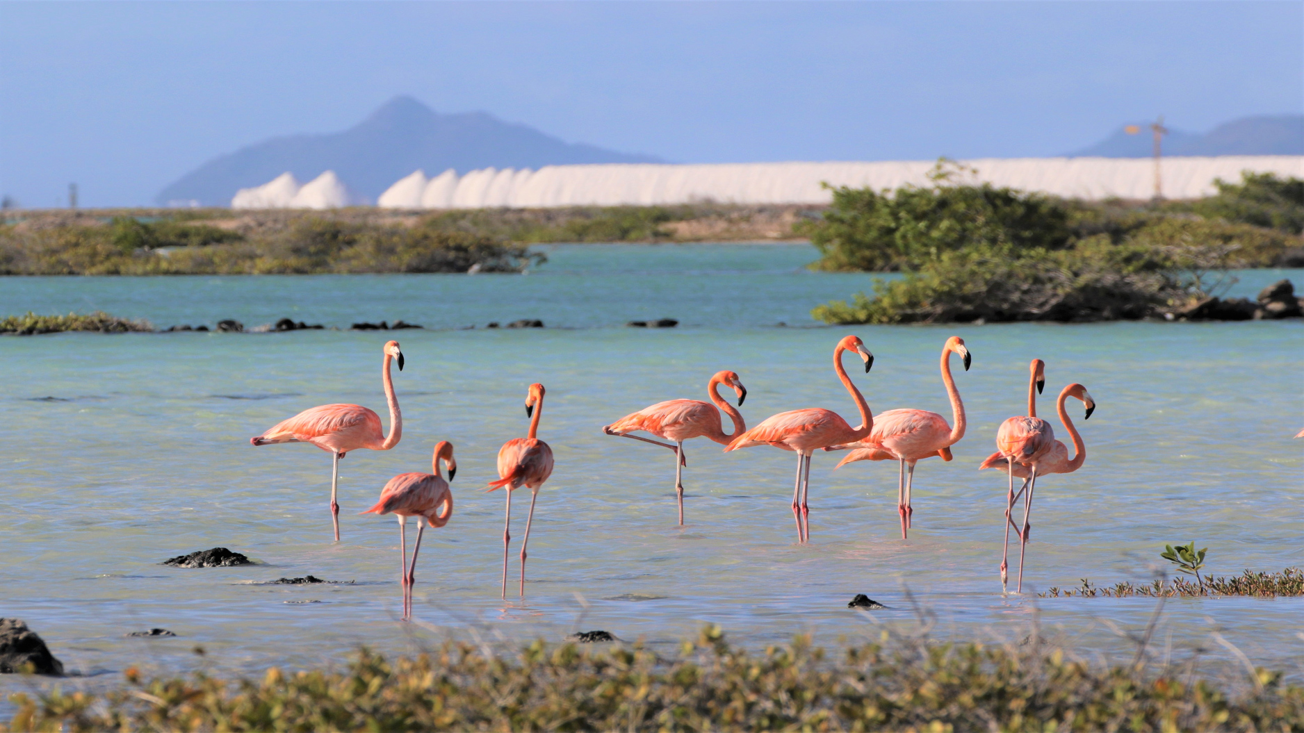 Kralendijk (Bonaire)