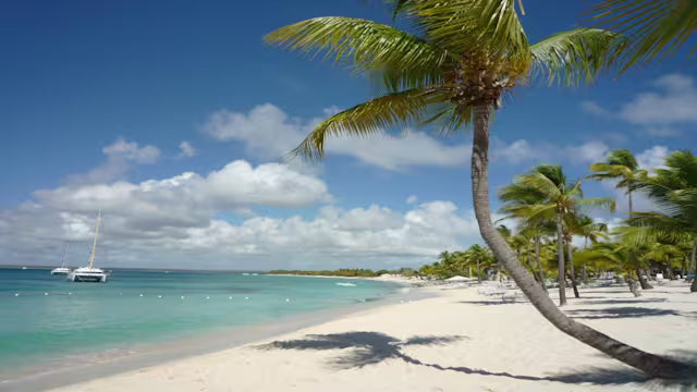 bayonne (new york)|bayonne (new york)|seetag|seetag|port canaveral|miami|seetag|seetag|san juan (puerto rico)|charlotte amalie (st. thomas)|philipsburg (st. maarten)|seetag|la romana|isla catalina|seetag|kralendijk (bonaire)|willemstad (curaçao)|oranjestad (aruba)|seetag|la romana