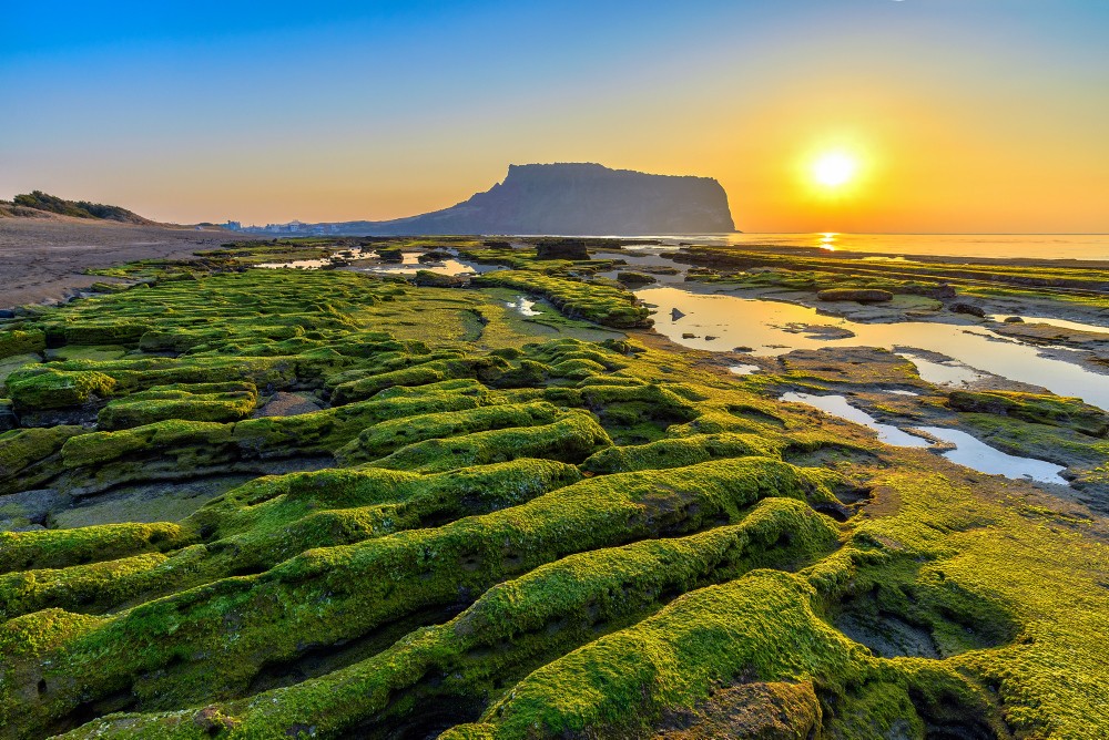 Jeju (Cheju) City