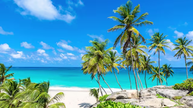 bridgetown (barbados)|bridgetown (barbados)|seetag|fort-de-france (martinique)|roseau (dominica)|pointe-à-pitre (guadeloupe)|seetag|philipsburg (st. maarten)|st. john's (antigua)|basseterre (st. kitts)|seetag|la romana|seetag|kingstown (st. vincent)|bridgetown (barbados)