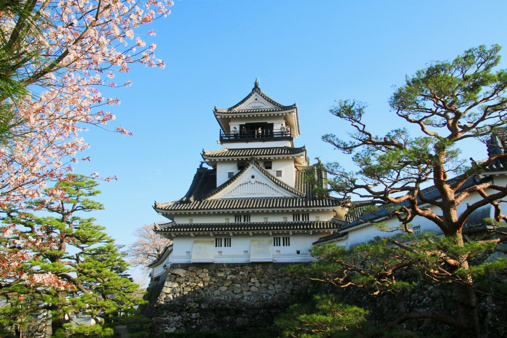 Kochi