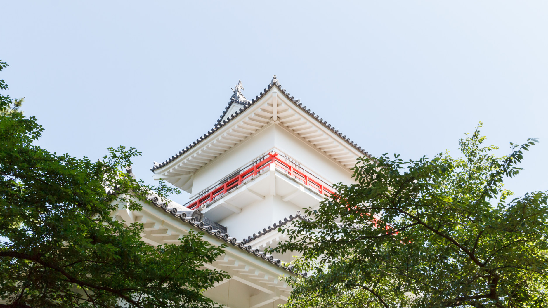 Akita