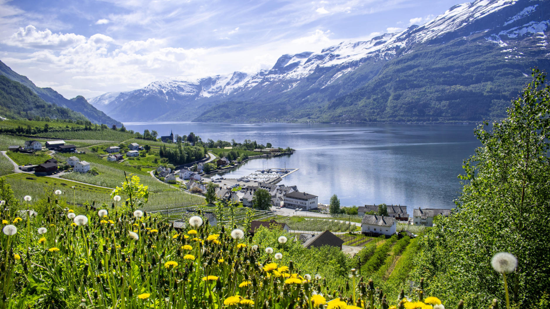 Sightseeing Hardangerfjord