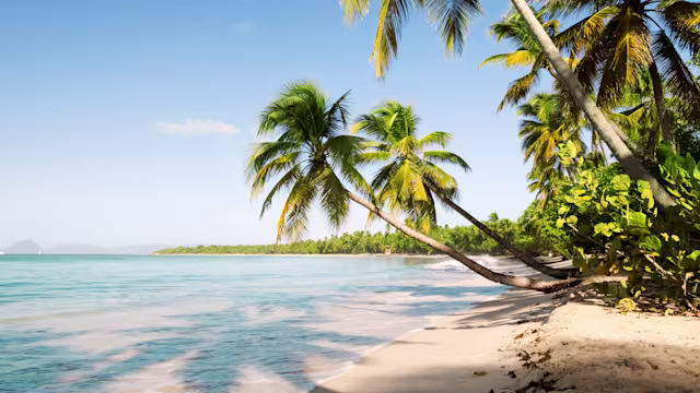 bridgetown (barbados)|bridgetown (barbados)|st. george's (grenada)|kingstown (st. vincent)|fort-de-france (martinique)|pointe-à-pitre (guadeloupe)|roseau (dominica)|seetag|st. john's (antigua)|basseterre (st. kitts)|seetag|la romana|seetag|castries (st. lucia)|bridgetown (barbados)